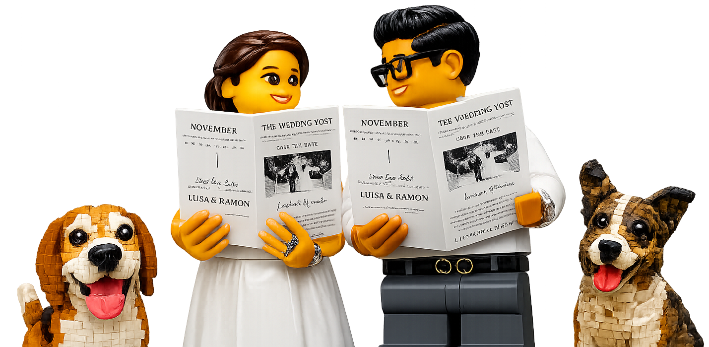 Legos novios